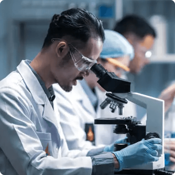 Transform Your Business with <span>GWSI</span>